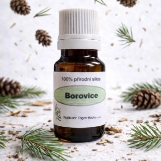 Borovicová 100% silice - 500 ml